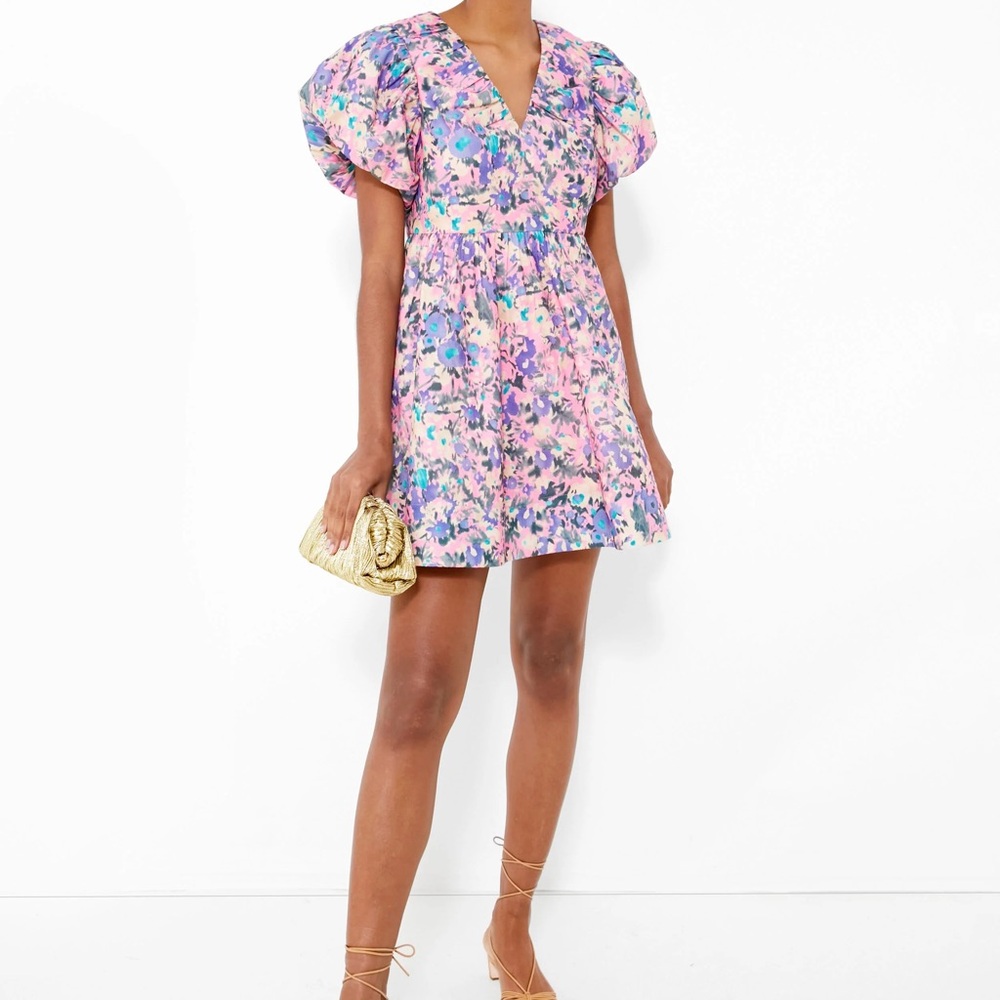 Tuckernuck Floral Mini Dress